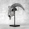 Grey Ram Skull Carved Horns with Infinity motif on stand - Skull,A/164