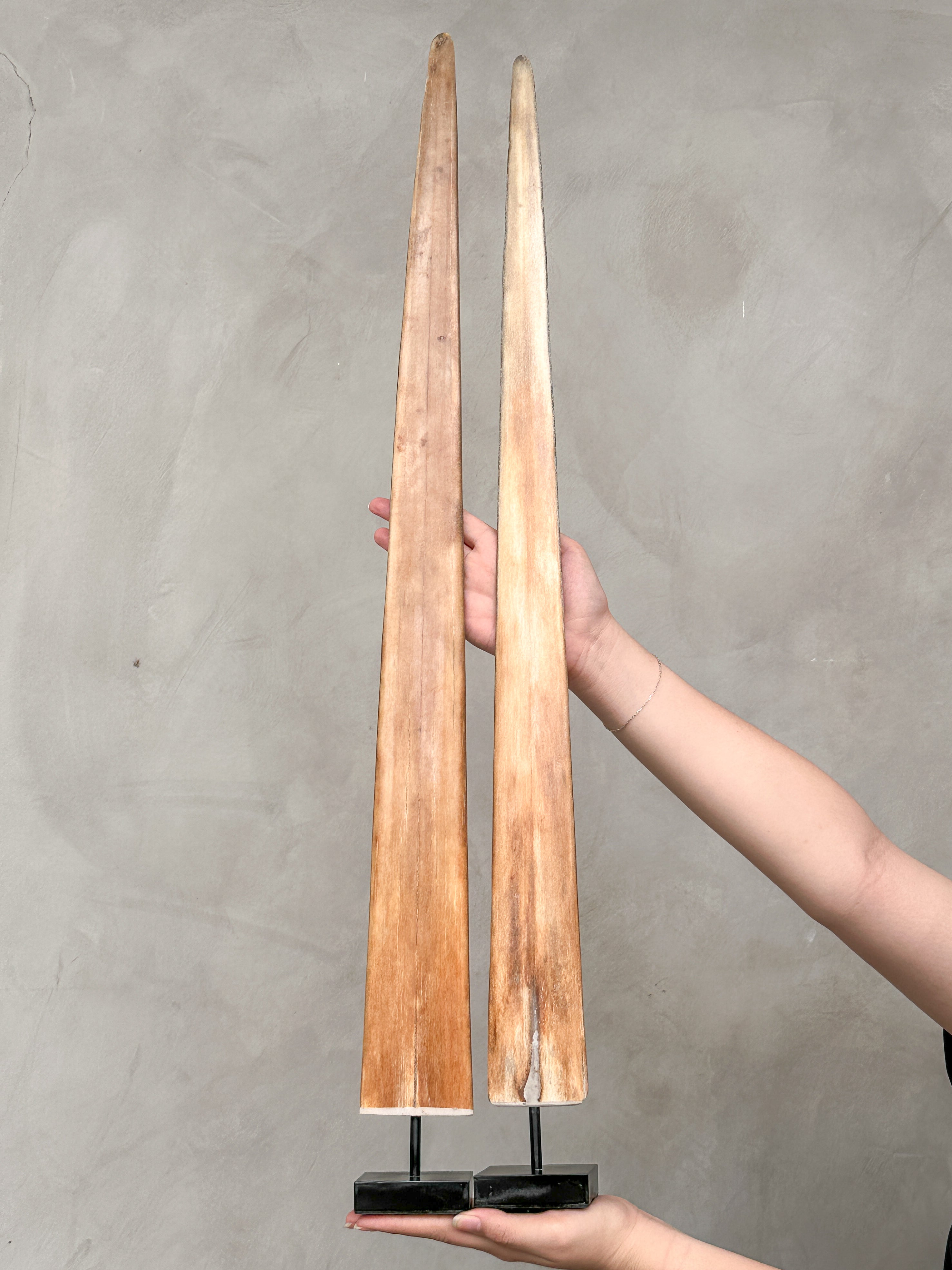 Pair of Natural Tusks on Stand – Rustic Bone Sculpture, Tribal-Inspired Decor, Organic Accent - Tusk,A/048