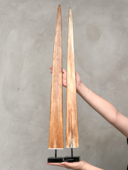 Pair of Natural Tusks on Stand – Rustic Bone Sculpture, Tribal-Inspired Decor, Organic Accent - Tusk,A/048