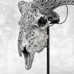 Grey Ram Skull Carved Horns with Infinity motif on stand - Skull,A/164