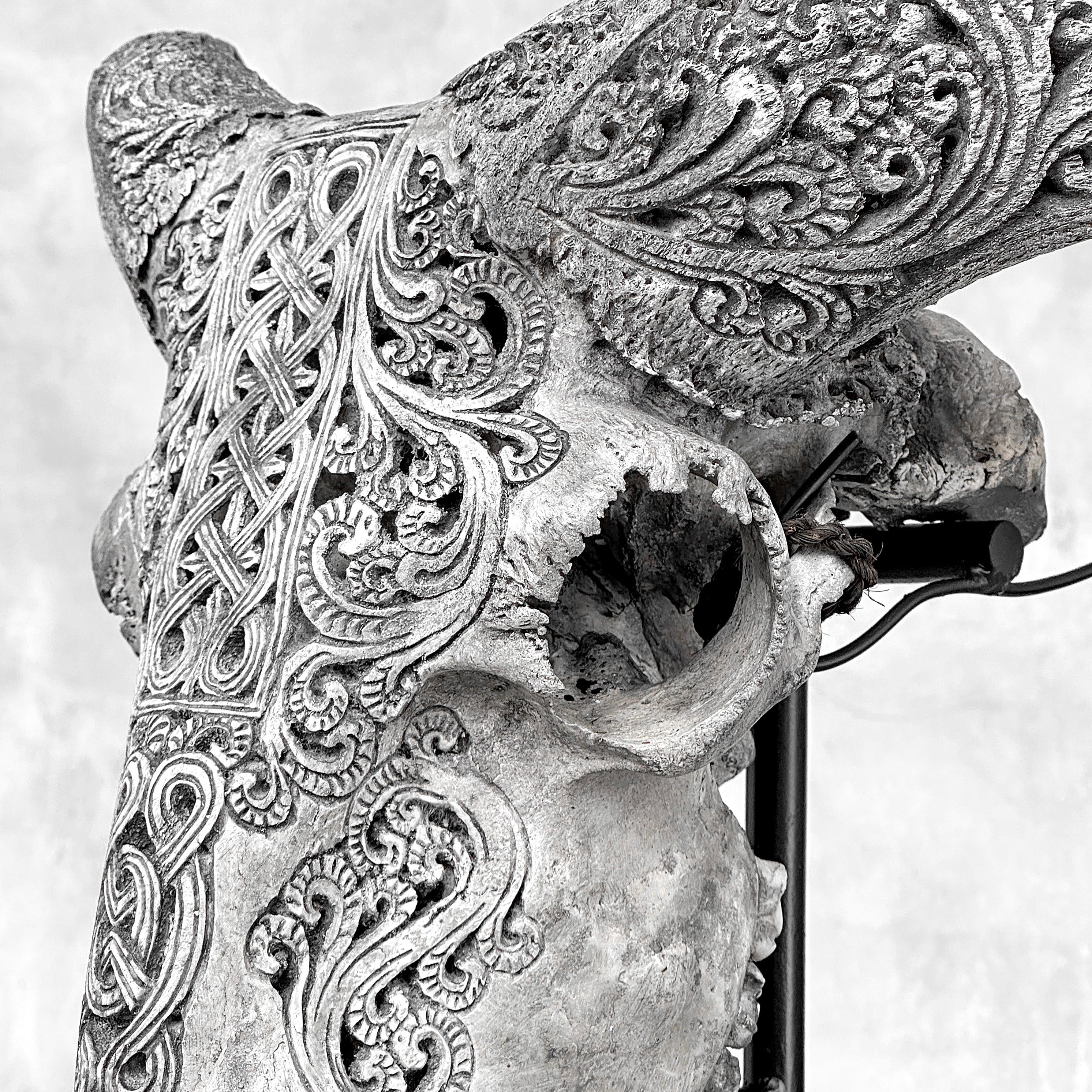 Grey Ram Skull Carved Horns with Infinity motif on stand - Skull,A/164