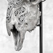 Grey Ram Skull Carved Horns with Infinity motif on stand - Skull,A/164