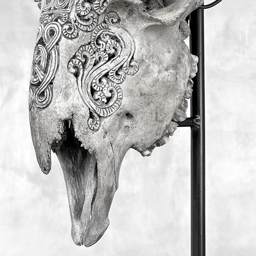Grey Ram Skull Carved Horns with Infinity motif on stand - Skull,A/164