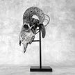 Grey Ram Skull Carved Horns with Infinity motif on stand - Skull,A/164