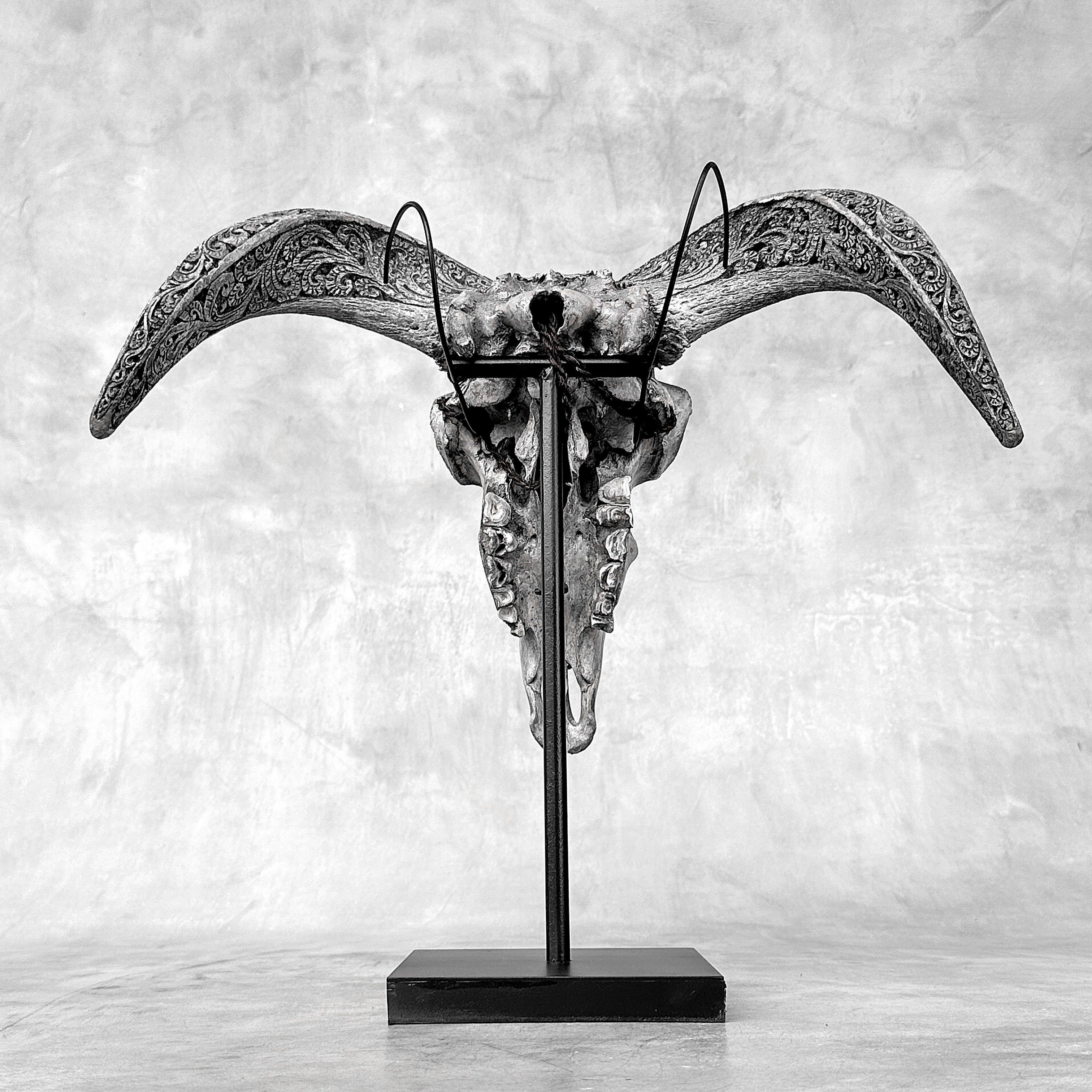 Grey Ram Skull Carved Horns with Infinity motif on stand - Skull,A/164