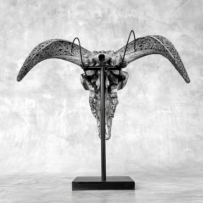 Grey Ram Skull Carved Horns with Infinity motif on stand - Skull,A/164