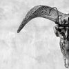 Grey Ram Skull Carved Horns with Infinity motif on stand - Skull,A/164