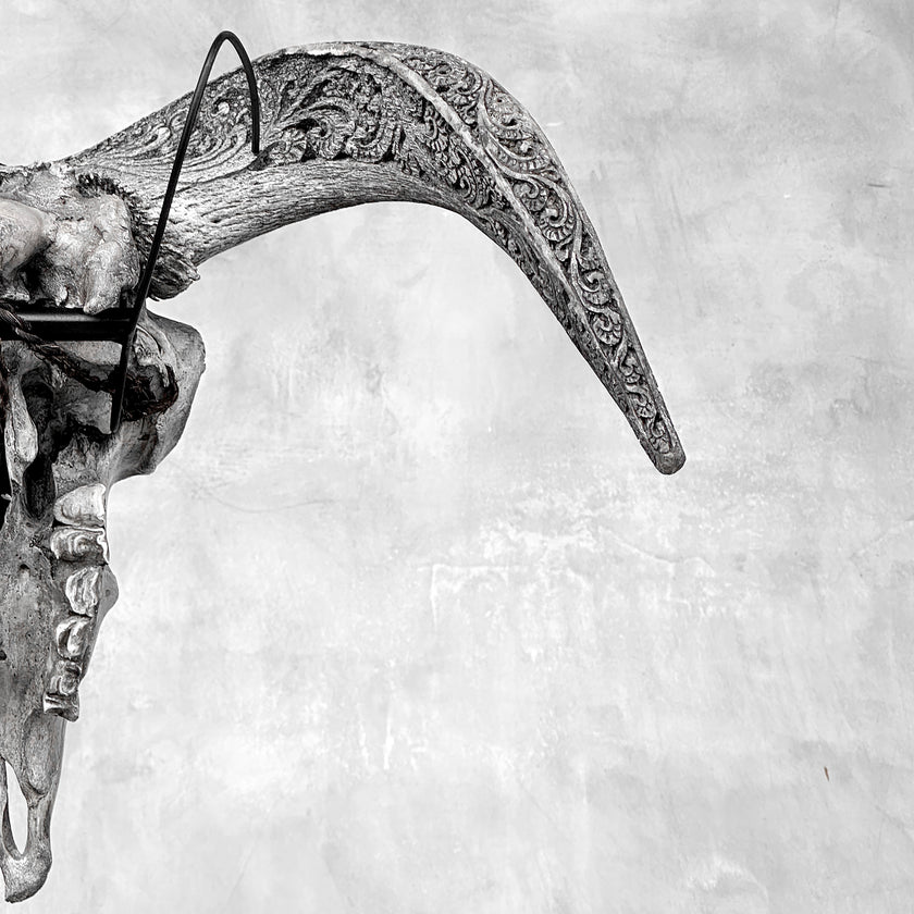 Grey Ram Skull Carved Horns with Infinity motif on stand - Skull,A/164