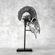 Grey Ram Skull Carved Horns with Infinity motif on stand - Skull,A/164