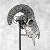 Grey Ram Skull Carved Horns with Infinity motif on stand - Skull,A/164