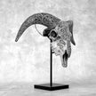 Grey Ram Skull Carved Horns with Infinity motif on stand - Skull,A/164