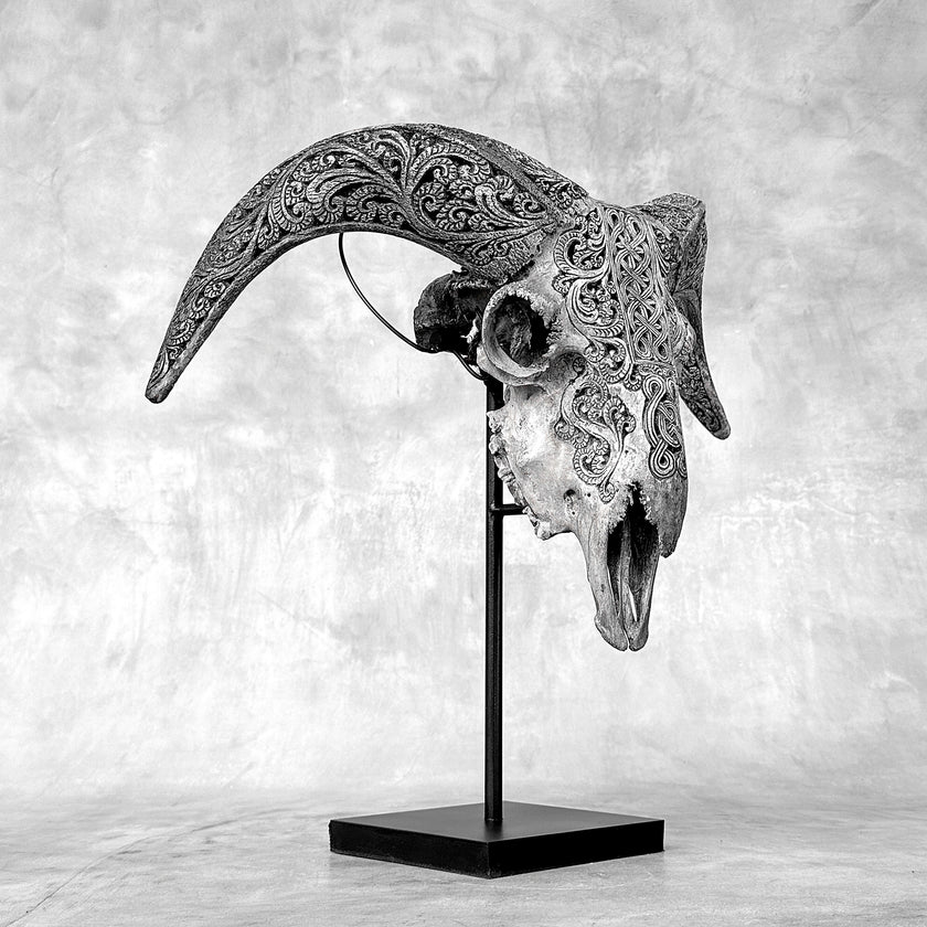 Grey Ram Skull Carved Horns with Infinity motif on stand - Skull,A/164