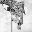 Grey Ram Skull Carved Horns with Infinity motif on stand - Skull,A/164