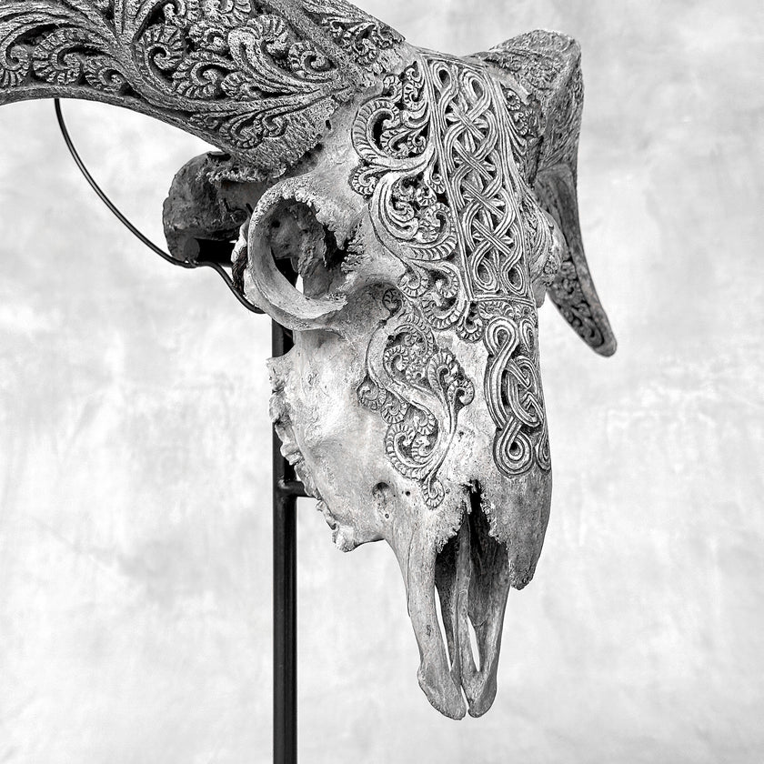 Grey Ram Skull Carved Horns with Infinity motif on stand - Skull,A/164