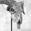 Grey Ram Skull Carved Horns with Infinity motif on stand - Skull,A/164
