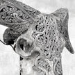 Grey Ram Skull Carved Horns with Infinity motif on stand - Skull,A/164