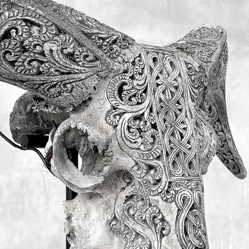 Grey Ram Skull Carved Horns with Infinity motif on stand - Skull,A/164