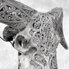Grey Ram Skull Carved Horns with Infinity motif on stand - Skull,A/164