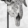 Grey Ram Skull Carved Horns with Infinity motif on stand - Skull,A/164