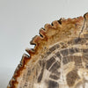 Beautiful Slice of Petrified Wood on stand PetW/095