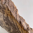 Beautiful Slice of Petrified Wood on stand PetW/095