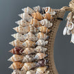 SN6 - Decorative Shell Necklace on custom stand - 6F/065