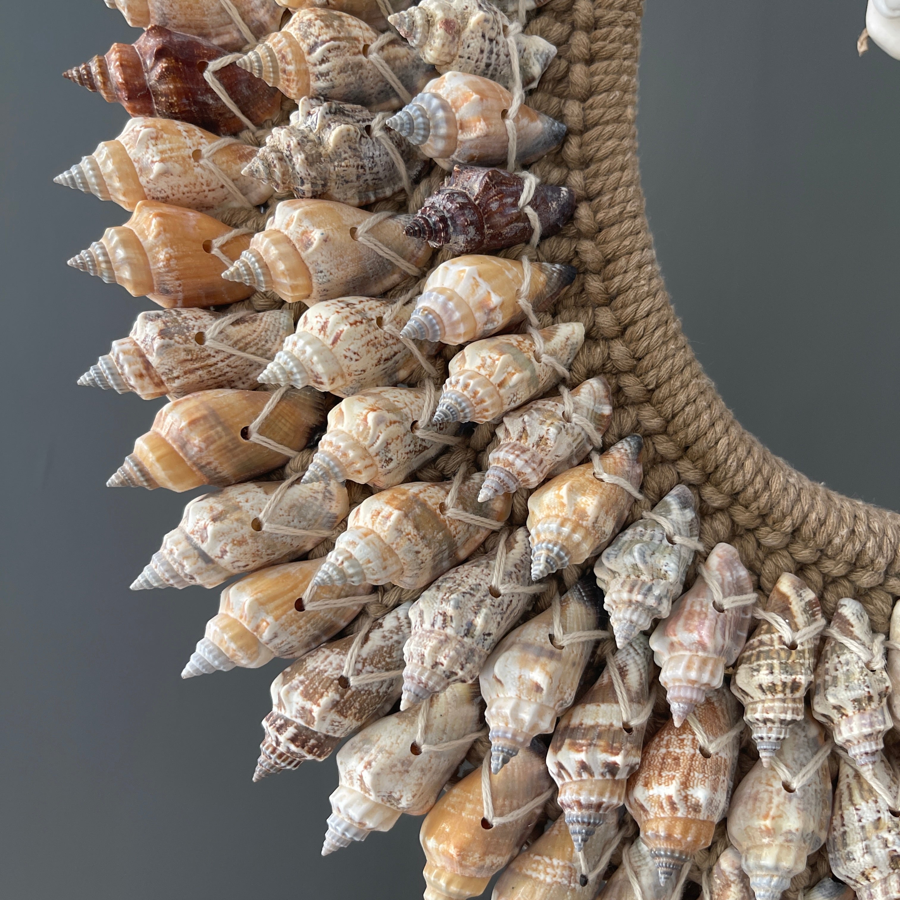 SN6 - Decorative Shell Necklace on custom stand - 6F/065