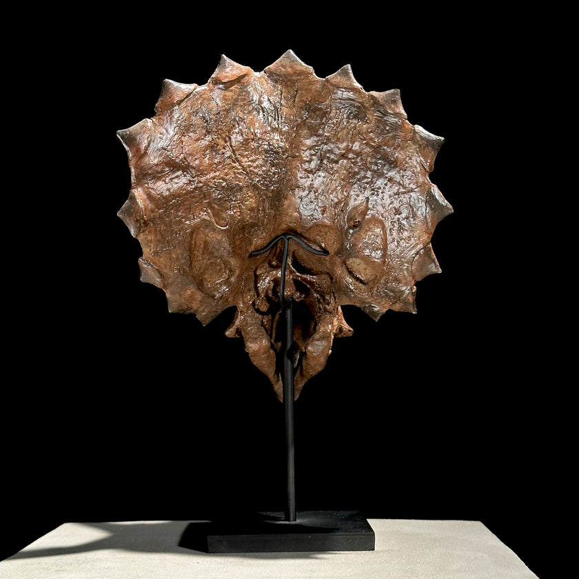 Triceratops Brown - RS002