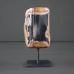 Polished Petrified Wood Freeform on a custom stand PetW/107