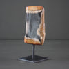 Polished Petrified Wood Freeform on a custom stand PetW/107