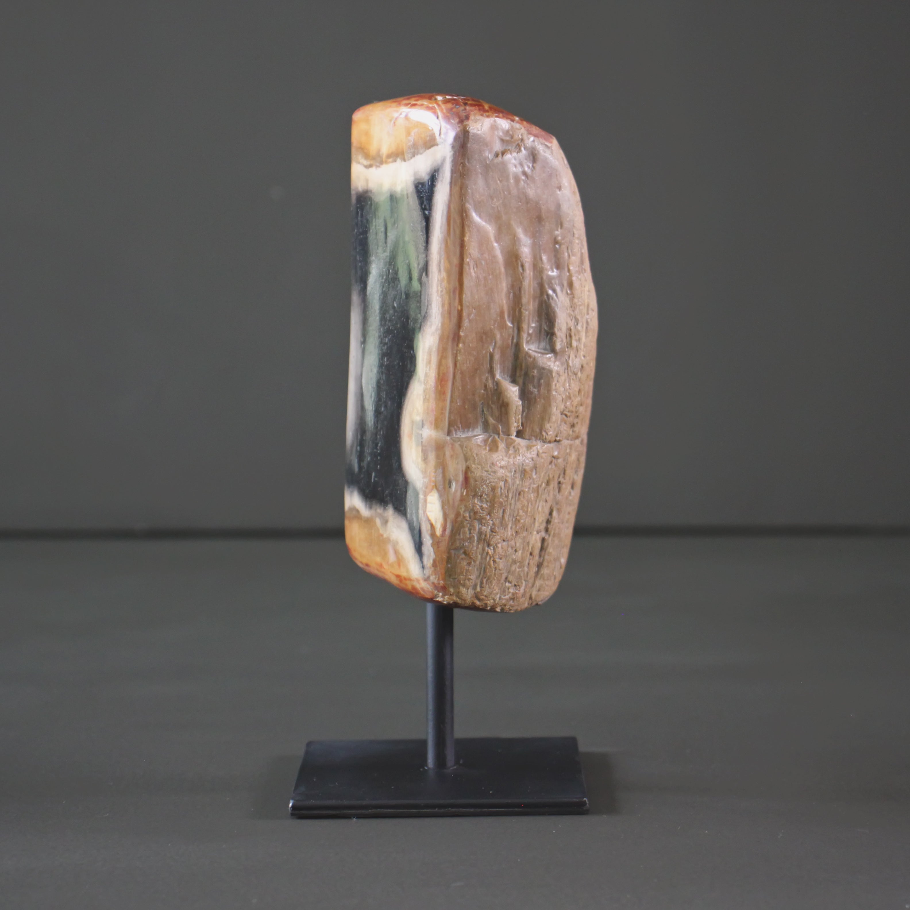 Polished Petrified Wood Freeform on a custom stand PetW/107