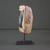 Polished Petrified Wood Freeform on a custom stand PetW/107