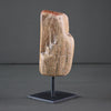 Polished Petrified Wood Freeform on a custom stand PetW/107