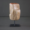 Polished Petrified Wood Freeform on a custom stand PetW/107