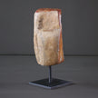 Polished Petrified Wood Freeform on a custom stand PetW/107