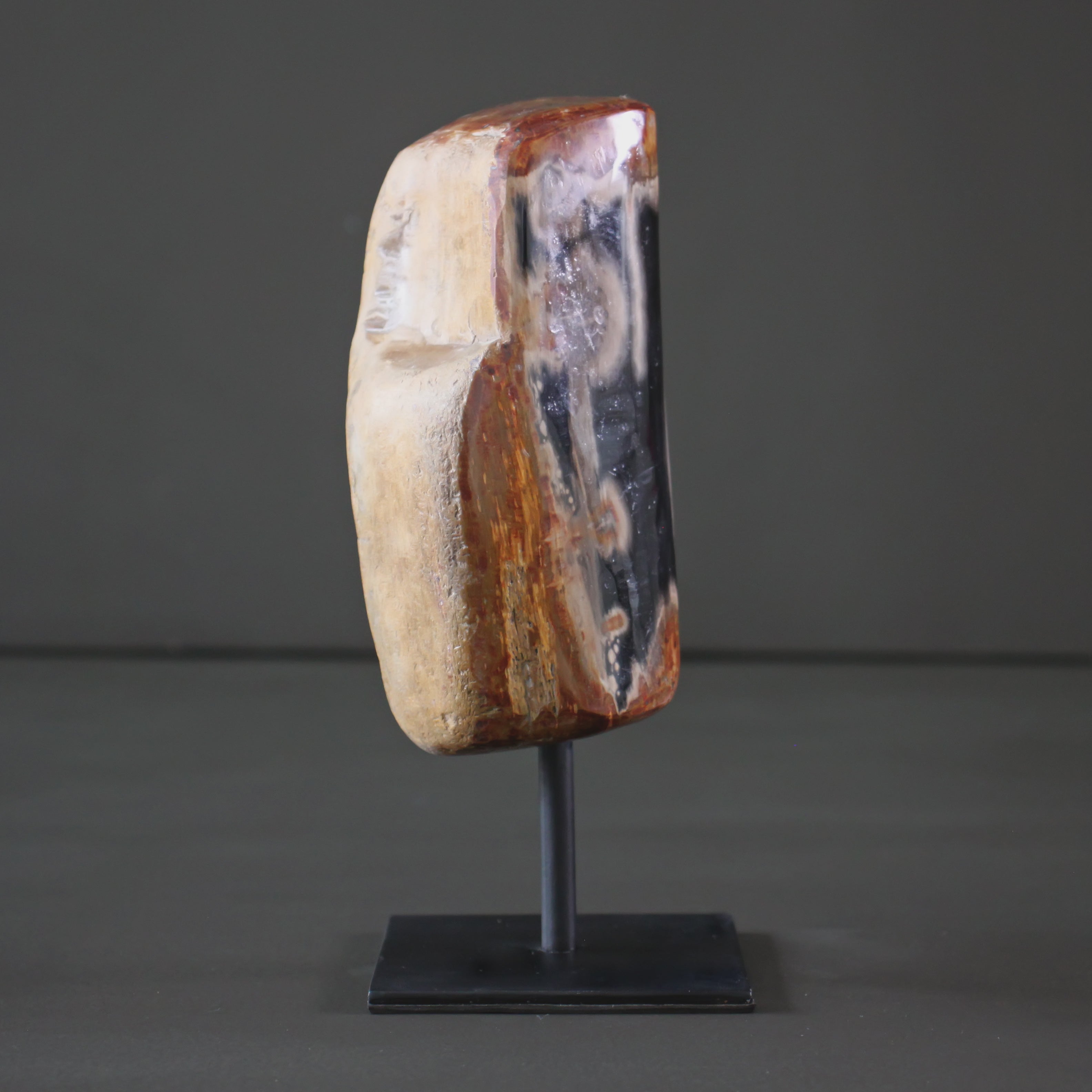 Polished Petrified Wood Freeform on a custom stand PetW/107