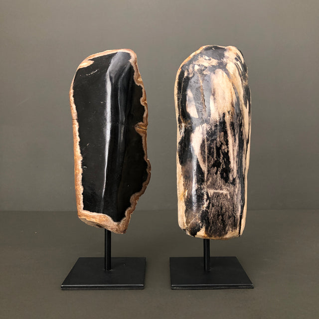 Full Polished Petrified Wood Freeform on a Custom Stand PetW/121