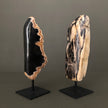 Full Polished Petrified Wood Freeform on a Custom Stand PetW/121