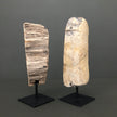 Full Polished Petrified Wood Freeform on a Custom Stand PetW/121