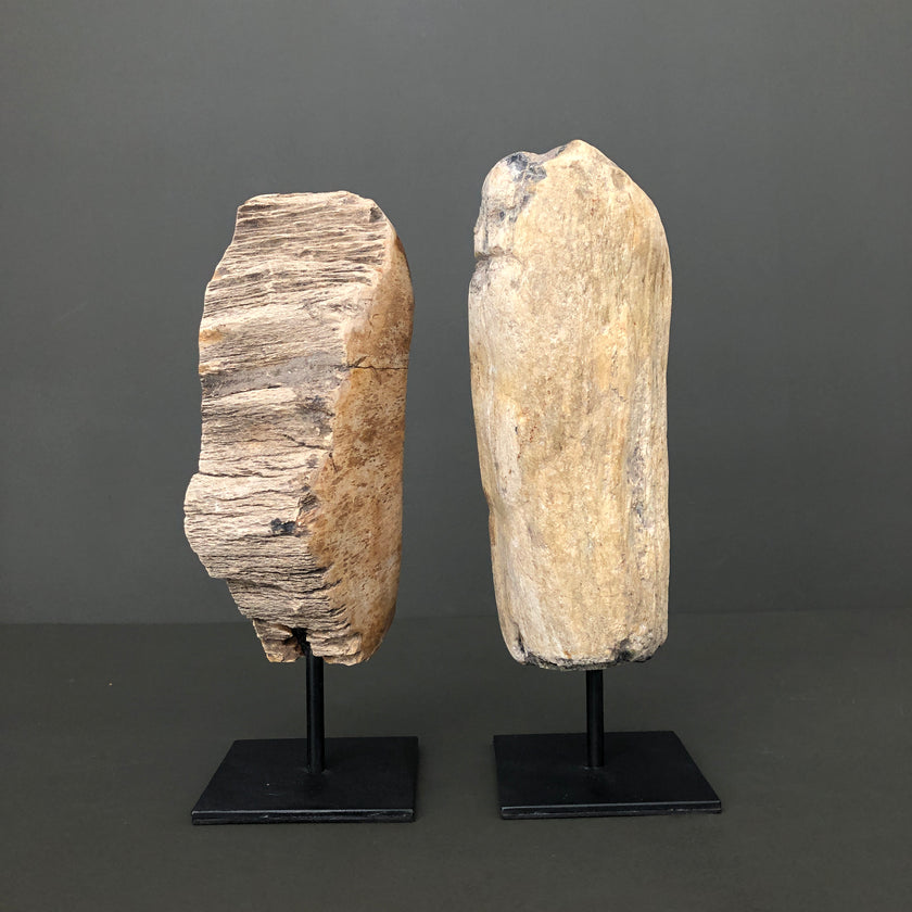 Full Polished Petrified Wood Freeform on a Custom Stand PetW/121