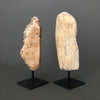 Full Polished Petrified Wood Freeform on a Custom Stand PetW/121