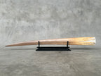 Carved Swordfish Marine carving T2/018