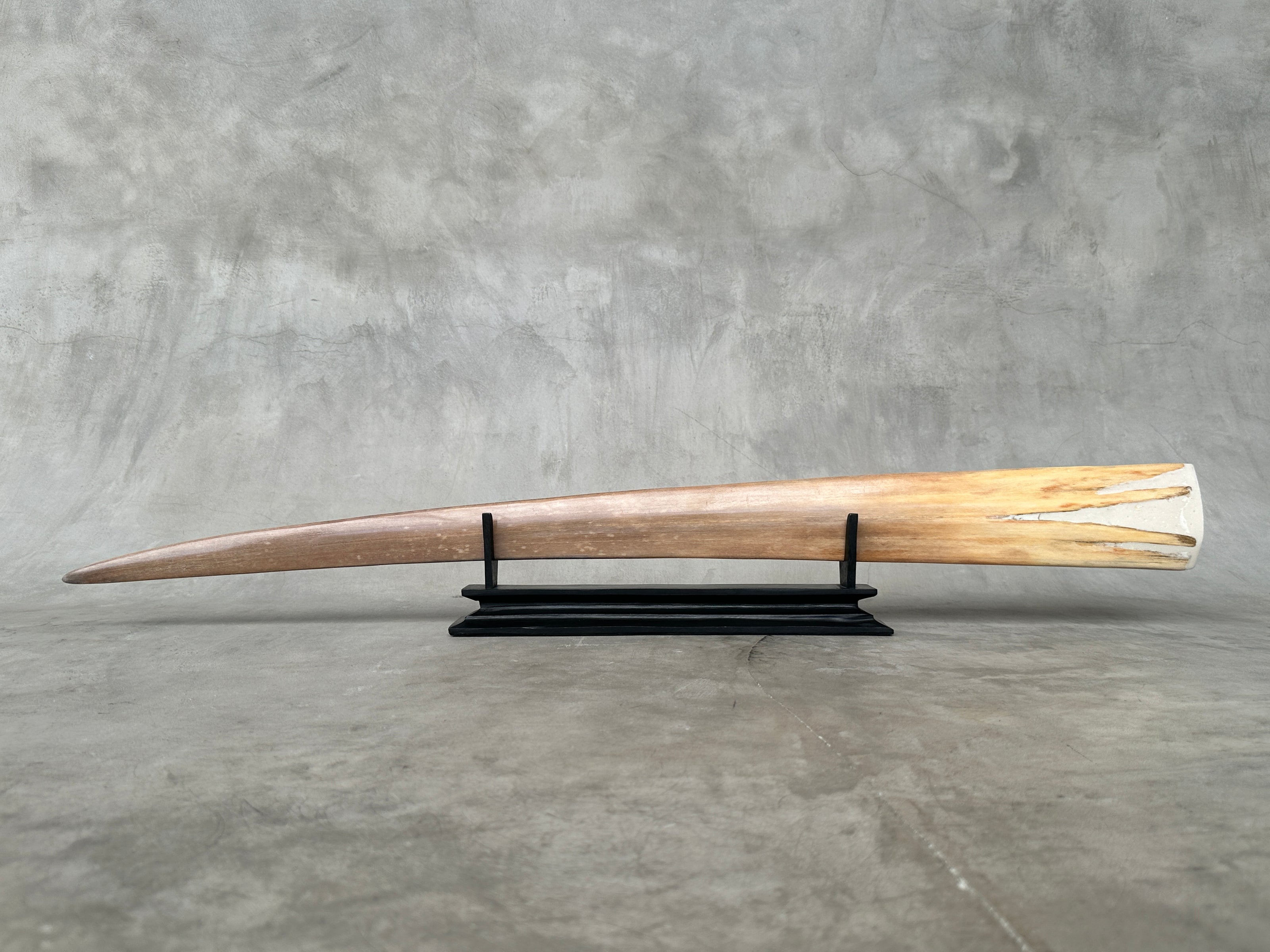 Carved Swordfish Marine carving T2/018