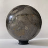 Wonderful Petrified Wood Sphere on a Custom Stand PetW/119