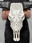 White Carved Buffalo Skulls with Flower Of Life motif | Skull,A/177