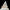 Golden Mouth Big Frog Snail Large Conch Shell-X2/384
