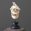 Tarmarind Wooden Skull With Snake Carving Antler - 7U/107