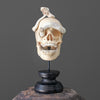 Tarmarind Wooden Skull With Snake Carving Antler - 7U/107