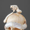 Tarmarind Wooden Skull With Snake Carving Antler - 7U/107