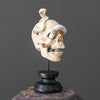 Tarmarind Wooden Skull With Snake Carving Antler - 7U/107